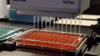 Biomek iSeries 96 Multichannel Selective Tip Pipetting by Row and by Column [upl. by Arriet921]