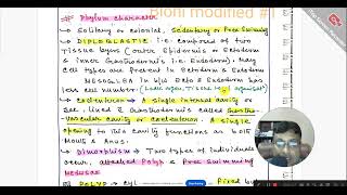 4th Batch  Phylum Cnidaria to Annelida  Animal classifiction Part 02 [upl. by Banwell]