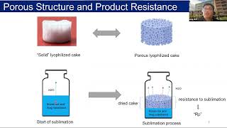 Sensitivity of Lyophilization Rate and Porous Structure to Small Changes in Freezing [upl. by Ahseinet48]