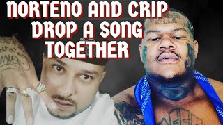 NORTENO RAPPER DOC 9 AND CRIPMAC BOUT TO DROP A TRACK TOGETHER…MY POSITIVE REACTIONtrending [upl. by Etnoed]