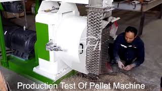 How Does the Bentonite Cat Litter Pellet Machine Make Pellets [upl. by Dilisio733]