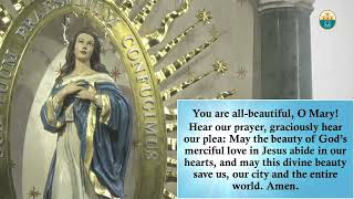 Sixth Day of Novena Mass to the Immaculate Conception  December 05 2024 1210pm [upl. by Landau]