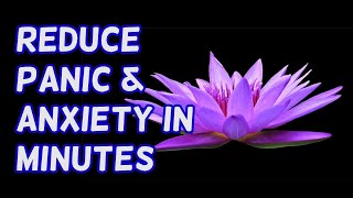 Guided Meditation for Panic amp Anxiety [upl. by Ahseya731]