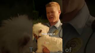 Game Night 2018  Any Plans For This Evening Scene  Jesse Plemons [upl. by Mortie]