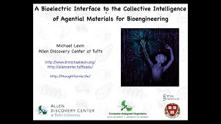 A Bioelectric Interface to the Collective Intelligence of Agential Materials for Bioengineering [upl. by Eidorb]