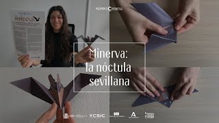 Minerva la nÃ³ctula sevillanaðŸ¦‡ [upl. by Ecirtap]