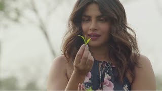 Awesome Assam  TVC featuring Priyanka Chopra  Assam Tourism  ATDC [upl. by Avi]