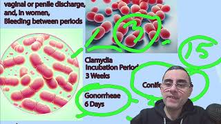 Understanding Chlamydia and Gonorrhea Key Differences and Similarities [upl. by Caravette]