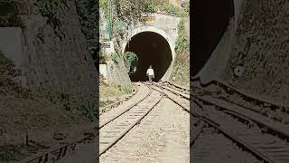 Vande BHARAT Train Himalayan shortvideo shorts short youtubeshorts youtuber train video [upl. by Betta]