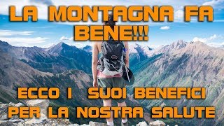 La montagna fa bene ecco i suoi benefici per la nostra salute [upl. by Sachi915]