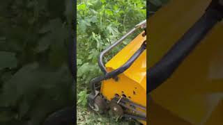 Weeding and grasscutting machine viralvideo decoration grass tools foryou [upl. by Profant]