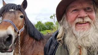 Milltown Horse Fair Kerry 28 April 2024 [upl. by Enneiviv362]