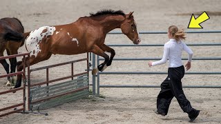 Horse Goes Crazy When He Sees This Girl – The Reason Surprised His Owner [upl. by Einaffyt]