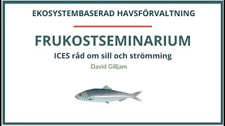 ICES råd om sill och strömming [upl. by Fai]