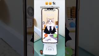 🙀🐾🐈Puffs guide on handling weekend calls froBoss Boundary Weekend Warrior 🪖 bossface bossplay [upl. by Ronoh664]