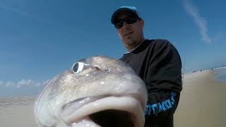 Assateague Island Fishing Spring 2019 [upl. by Nehttam627]