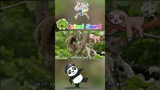 The Animal  Sloth  Science for Kids  Best Learning Videos For Kids  EduFam [upl. by Anitsirhcairam757]