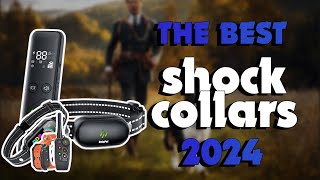 The Best Shock Collars 2024 in 2024  Must Watch Before Buying [upl. by Brebner]