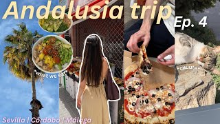 WHAT WE EAT in SPAIN 🇪🇸✨ travel VLOG  ANDALUSIA ROUND TRIP  Sevilla Córdoba Málaga [upl. by Swan]