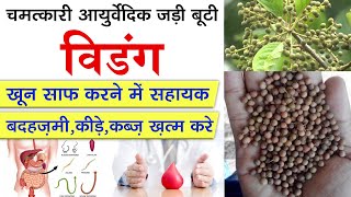 पेट के कीड़ों और खून साफ़ के लिए विडंग के फायदे I Vidang  An Ayurvedic Herb For Blood Purification [upl. by Atinniuq]