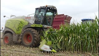 Ensilage de maïs 2019  SHREDLAGE Claas Jaguar 860 ETA GRAIGNIC Frères [upl. by Melisse]