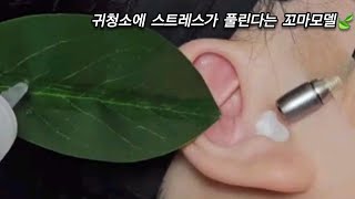 ASMR Real Series 스트레스해소용 귀청소🙆‍♀️ Cleaning ears to relieve stress ストレス解消用耳掃除 [upl. by Apthorp]