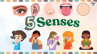 Sense organs  five senses  Our senses  Sense organs name  Sense organs functions  5 senses [upl. by Aun]