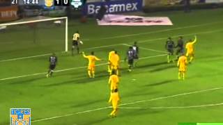 Resumen Tigres Vs Santos Amistoso 28Dic13 [upl. by Namrej]