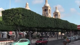 Paola celebrating 100 years as a Parish [upl. by Fernando]