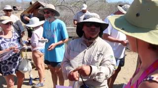 Galapagos Videos Post Office Bay [upl. by Yordan]