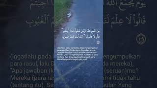 Surah AlMaidah Ayat 109 alquran mendengar membaca allah rasul kaum gaib shorts seruan juz [upl. by Dronel]