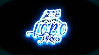 EL PULQUITO VIDEO OFICIAL DE LOBO MIXTECO 2019 [upl. by Ettennor]