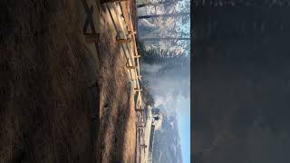 “Wildfire happening in Yosemite”LIVE on my channel SUBSCRIBE for more [upl. by Yul]