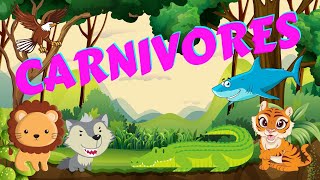 Carnivores  Types of Animals  Science for Kids [upl. by Aicelet115]