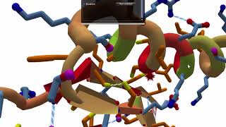 Disulfide Bonds [upl. by Norward]