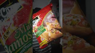 I Tried FROZEN Samosa shorts shortvideo [upl. by Leitnahs]