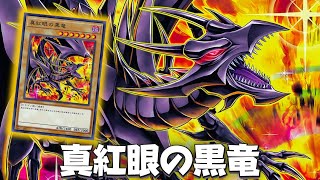 Triple RedEyes 🔥  RedEyes Black Dragon DECK 2024 ft RedEyes Flare Metal Dragon  YGOPRO [upl. by Yarehs]