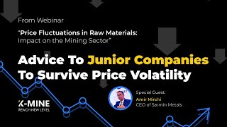 Surviving Price Volatility Essential Advice for Junior Mining Companies [upl. by Craig687]