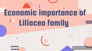 Economic importance of Liliaceae family [upl. by Erv]