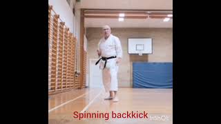 Spinning back kick [upl. by Einniw]