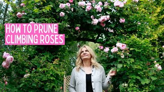 HOW TO PRUNE CLIMBING ROSES [upl. by Vogeley]