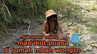 GIMANA NASIB BAWOR DI BULAN PUASA NANTI [upl. by Abeh]