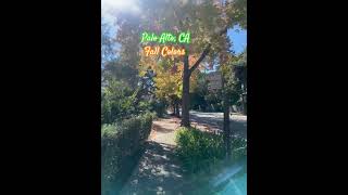 Palo Alto Fall Colors  Like👍 amp Subcribe👆please❤️ 112024 travel 202410 shorts nature bike [upl. by Anaet]