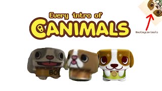 Every Canimals Intro 20082017 [upl. by Kosse239]