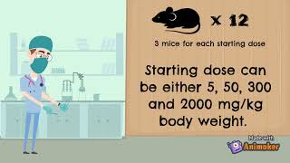 Acute Oral Toxicity Testing  Acute Toxic Class Method [upl. by Tanny]