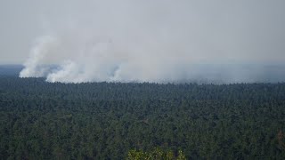 Berliner Grunewald Feuer breitet sich unkontrolliert aus [upl. by Tove146]