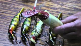 Muskie Swim Whiz one of the most reliable versatile and bestever Musky Fishing Lures [upl. by Rainah]