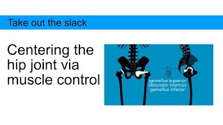 Centering the hip joint via muscle control creates space in the hip joint [upl. by Stanwin715]