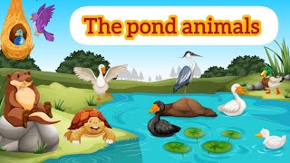 learn pond animals in Englishanimation cartoons for kidskidscartoonskidslearning education [upl. by Hjerpe430]