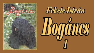 Fekete István  Bogáncs 1 [upl. by Rossie]